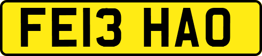 FE13HAO
