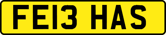 FE13HAS