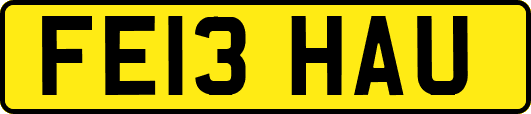FE13HAU