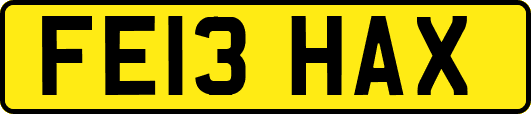 FE13HAX