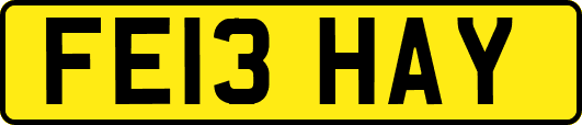 FE13HAY
