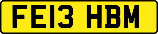 FE13HBM