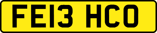 FE13HCO