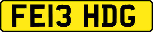 FE13HDG