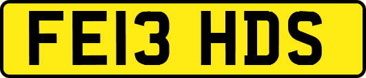 FE13HDS