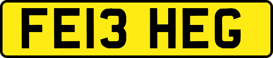 FE13HEG
