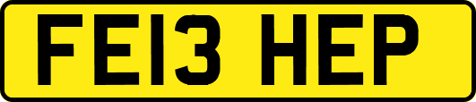 FE13HEP