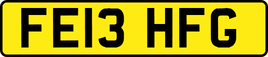 FE13HFG