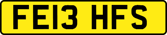 FE13HFS