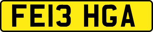 FE13HGA