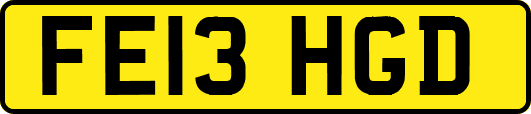 FE13HGD