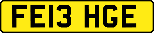 FE13HGE