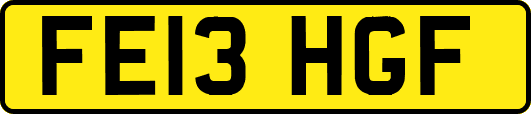 FE13HGF