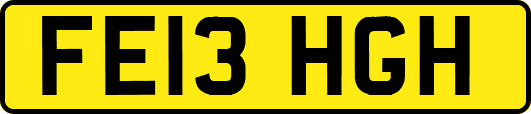 FE13HGH
