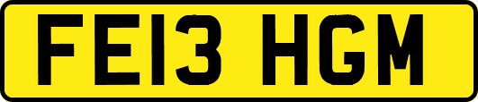 FE13HGM