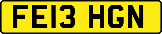 FE13HGN
