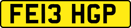 FE13HGP