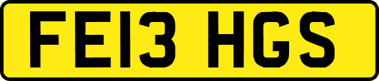 FE13HGS