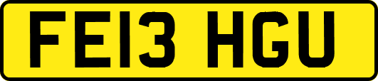 FE13HGU