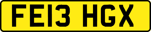 FE13HGX