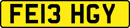 FE13HGY