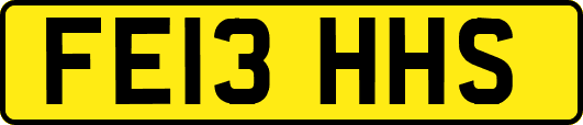 FE13HHS
