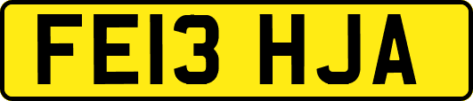 FE13HJA