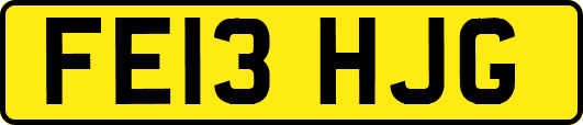 FE13HJG