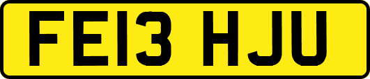 FE13HJU