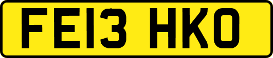 FE13HKO
