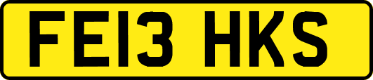 FE13HKS