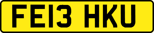 FE13HKU