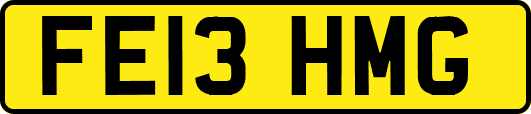 FE13HMG