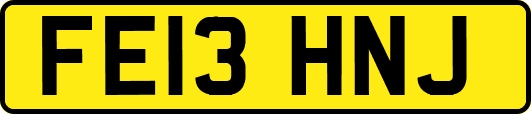 FE13HNJ