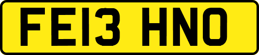 FE13HNO