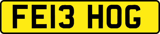 FE13HOG