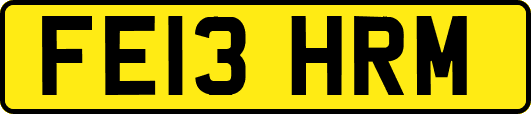 FE13HRM