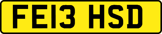 FE13HSD