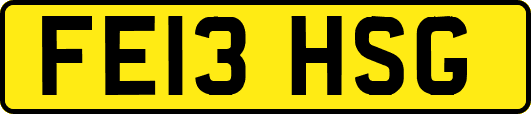 FE13HSG