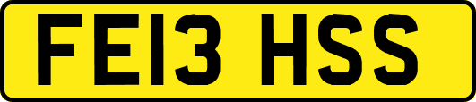 FE13HSS