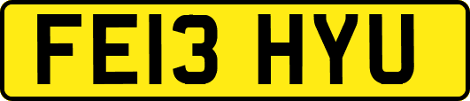 FE13HYU