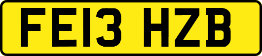 FE13HZB