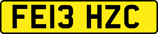 FE13HZC