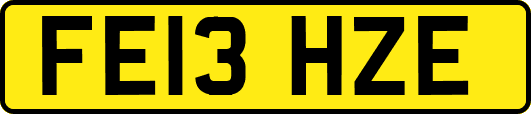 FE13HZE