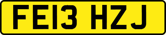 FE13HZJ