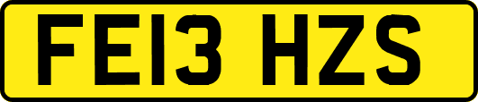 FE13HZS