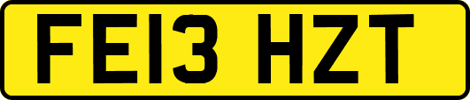 FE13HZT