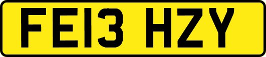 FE13HZY
