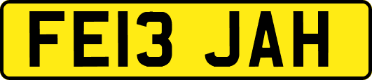 FE13JAH