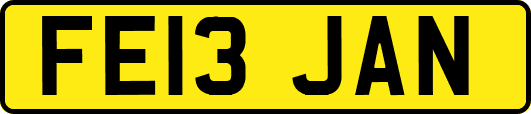 FE13JAN